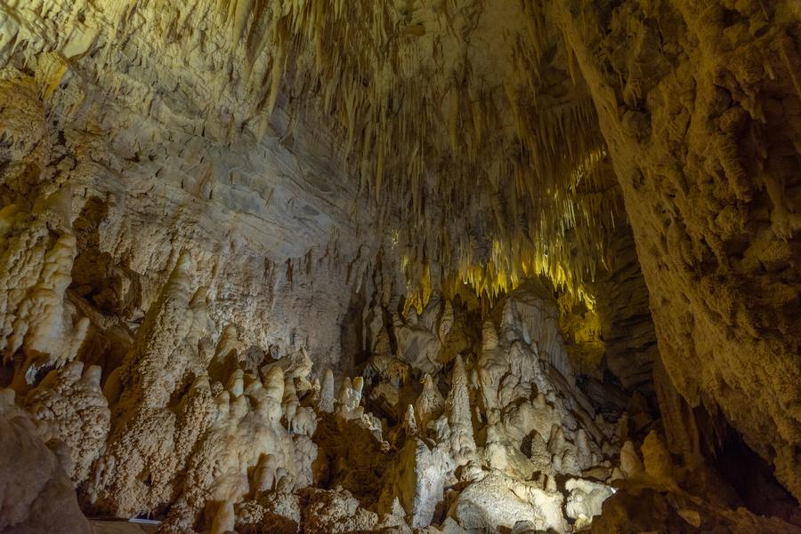 Layered limestone formations inside Ruakuri Cave near Waitomo