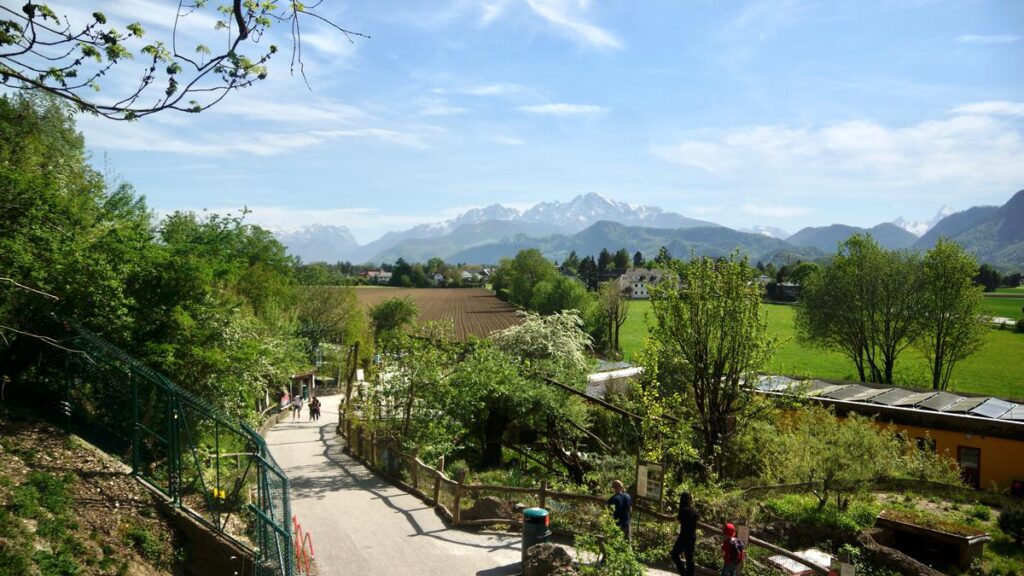 Scenic Salzburg Zoo Hellbrunn with Alpine backdrop and visitors enjoying sunny day among lush greenery.