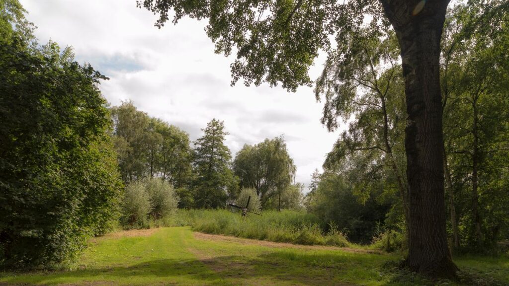 Tree-lined lawn in Gaasperpark beside Gaasperplas in Amsterdam-Zuidoost