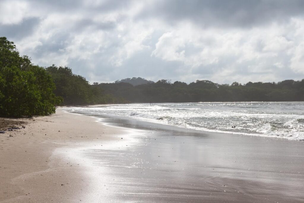 Playa Langosta Beachscape with Lush Greenery and Sparkling Waters under a Cloudy Sky