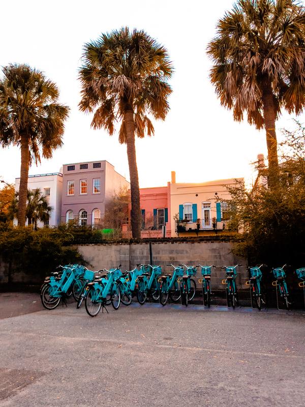 Turquoise bicycles at a bike-sharing station in Charleston, SC, surrounded by palm trees and historic buildings.