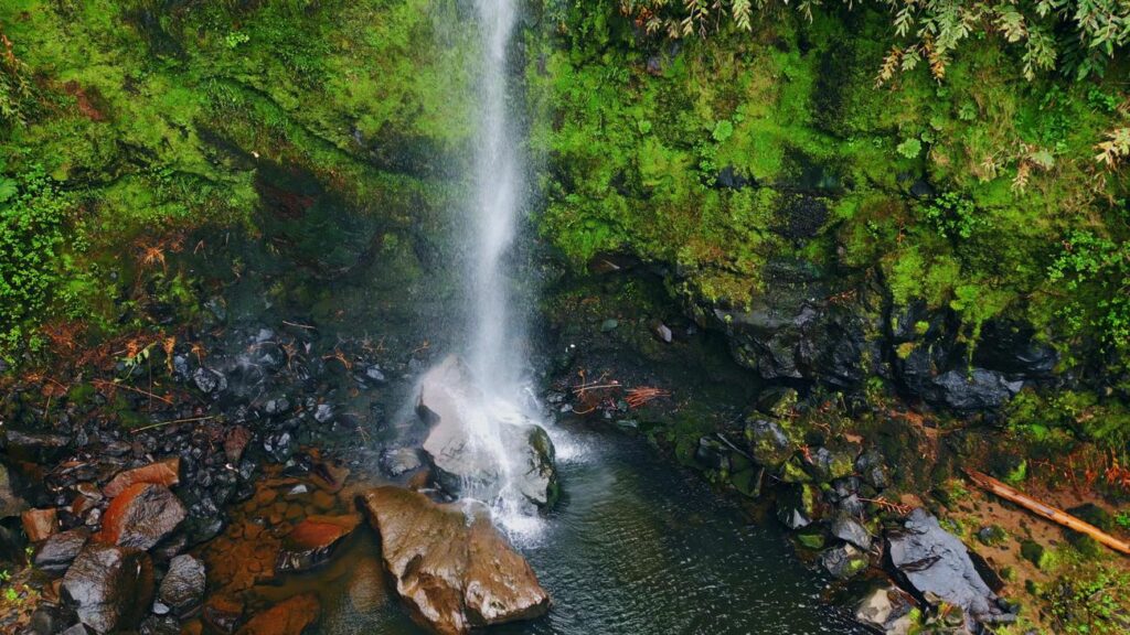 Waterfall in Hoh Rainforest Washington