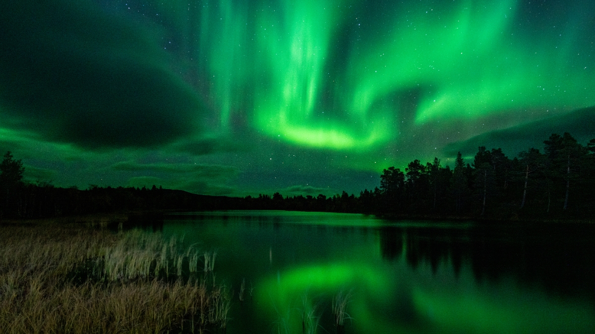 The Northern Lights view or the Aurora Borealis at Torneträsk in Abisko, Sweden