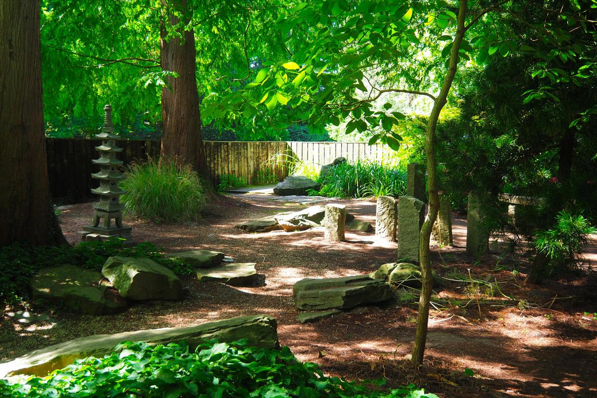 Tranquil path in Amstelpark's Japanese Garden, with lush greenery and stone lantern