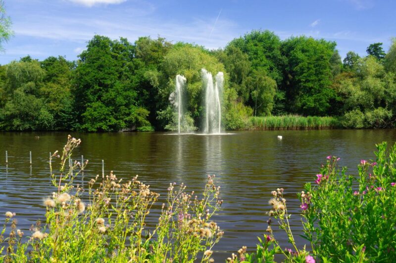 Tranquil Amstelpark lake with lush greenery and fountain