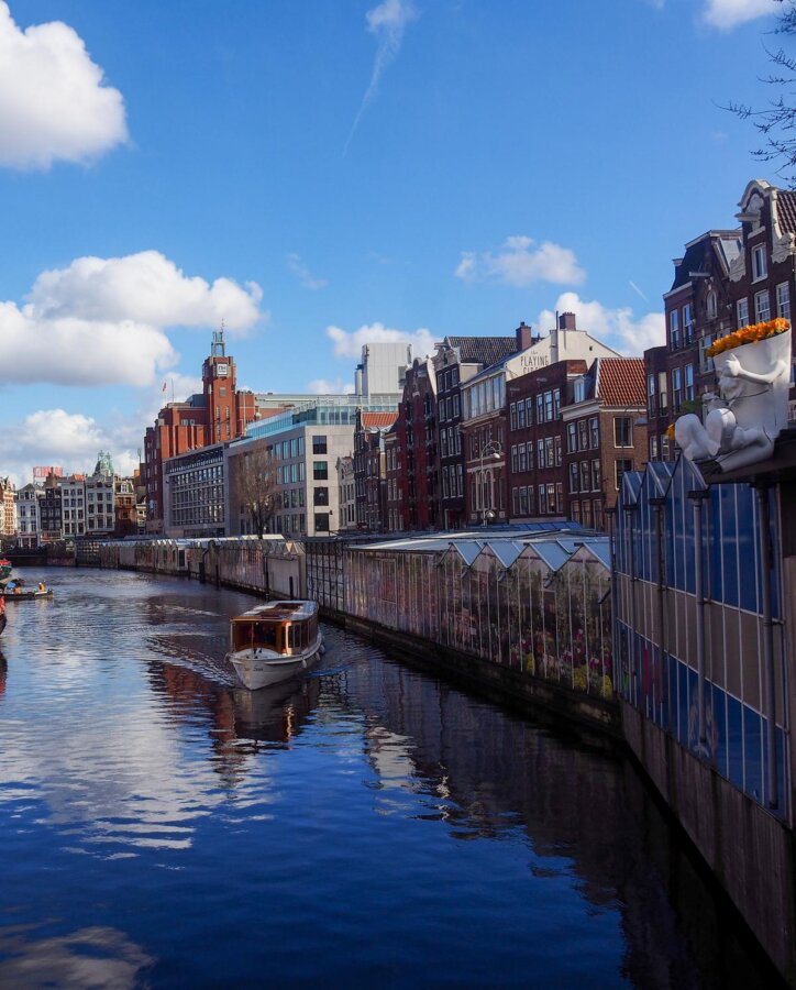 Amsterdam Bloemenmarkt with vivid flowers along the canal