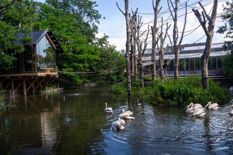 Artis Zoo