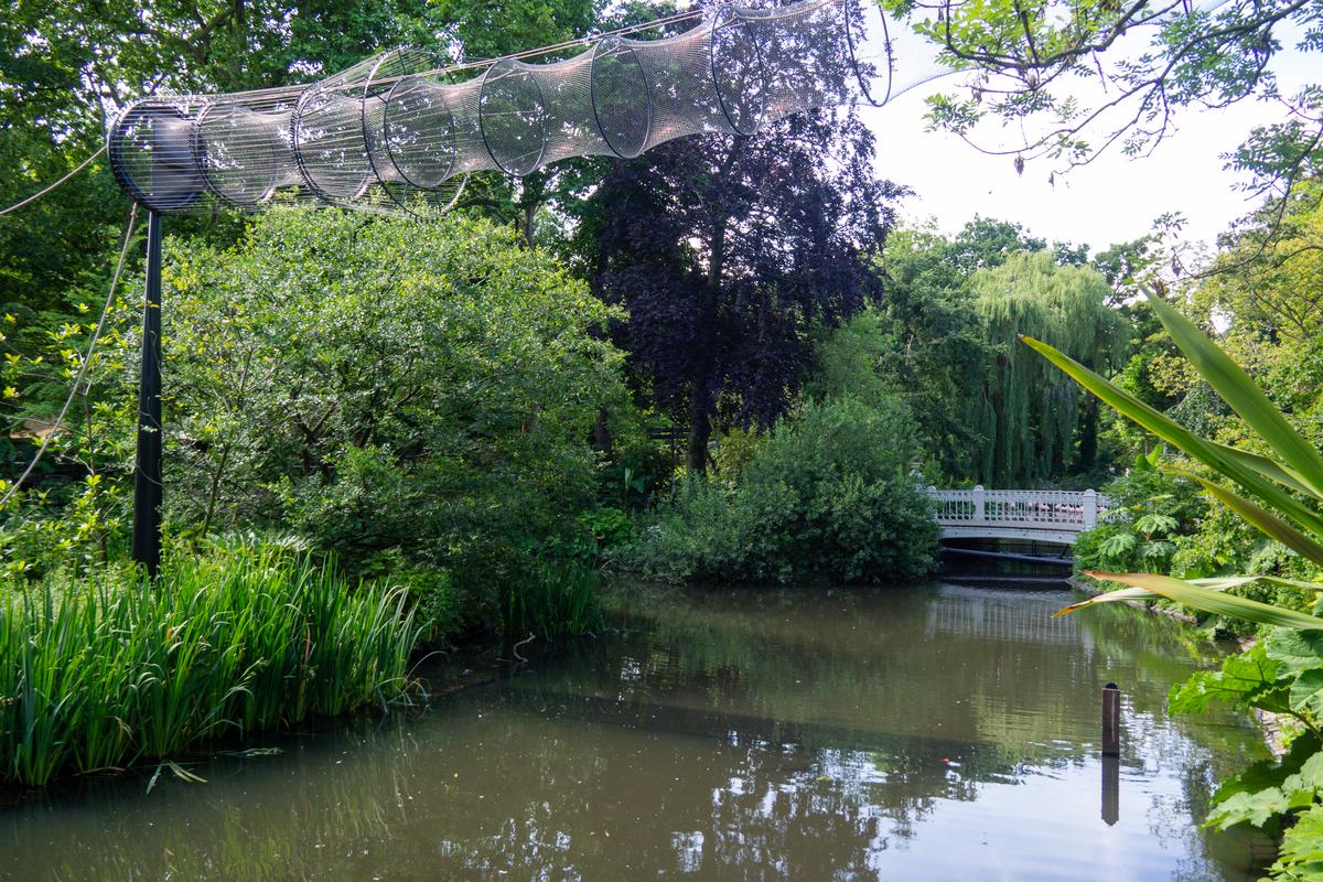 Tranquil pond and aerial walkway at ARTIS Zoo Amsterdam