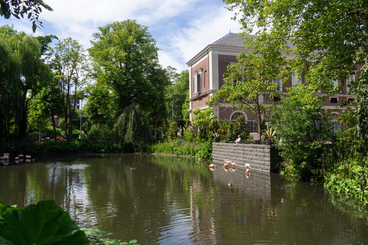 Watch Our ARTIS Royal Zoo Video Tour: One of the Oldest Zoos in Europe