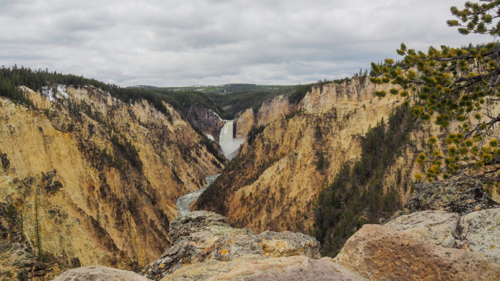 Lower Falls from Artist Point, Yellowstone National Park