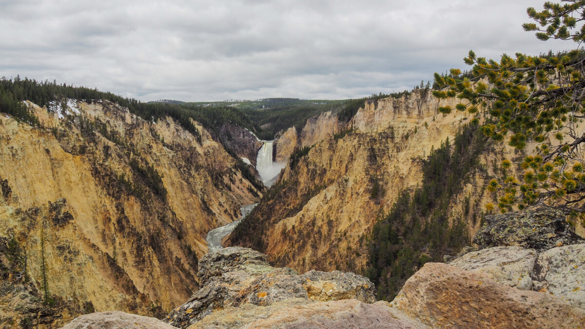 Lower Falls from Artist Point, Yellowstone National Park