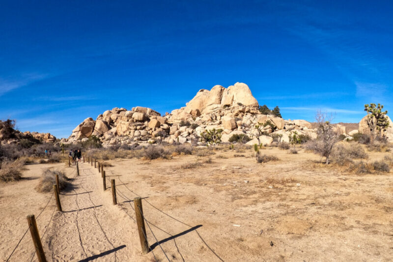 Barkers Dam Trailhead in Joshua Tree National Park