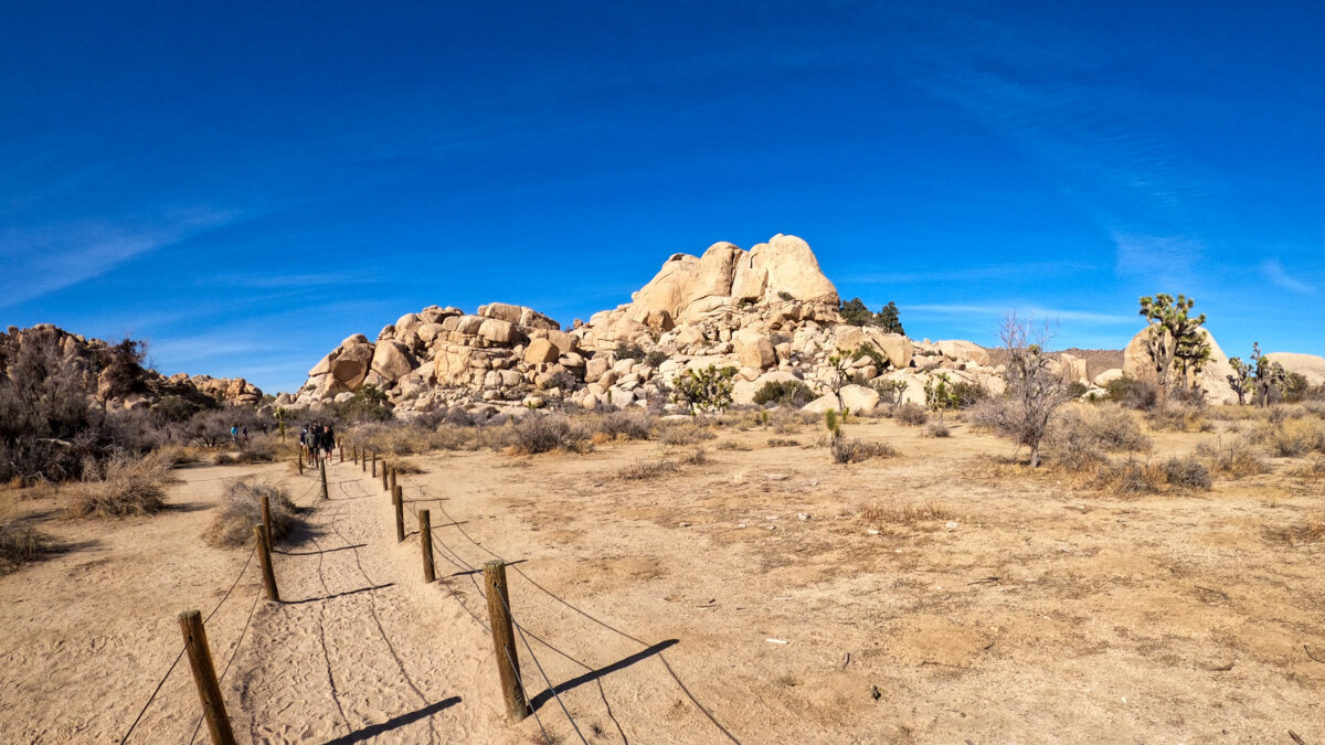 Barkers Dam Trailhead in Joshua Tree National Park