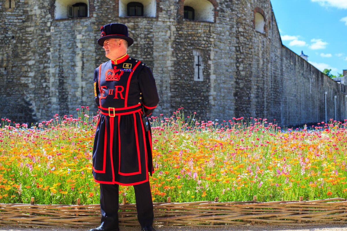 A Yeoman of the Guard stands infront of the Tower of London, with the wild meadow Moat in the background