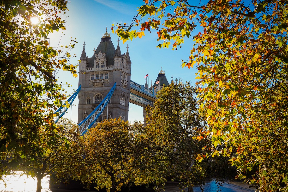 beginners-travel-guide destination image