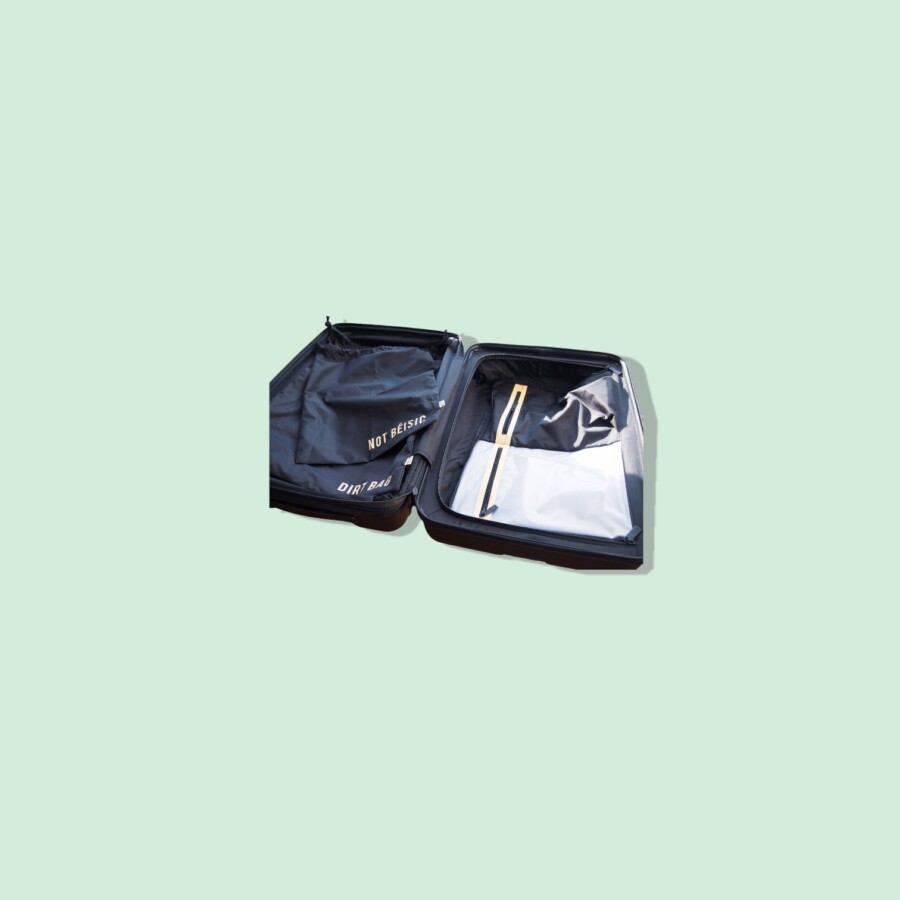 BEIS Luggage Inside design close-up