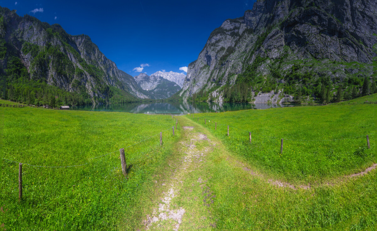 Path through alpine meadows toward Obersee in Berchtesgaden National Park