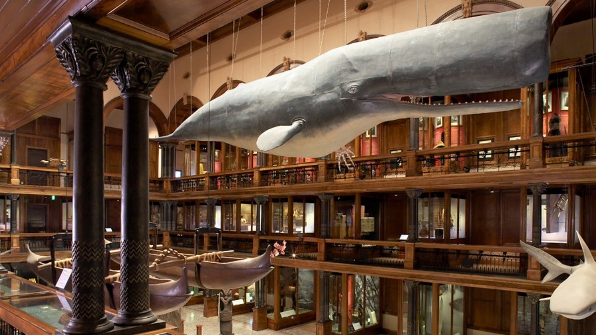 Exhibit at Bernice Pauahi Bishop Museum