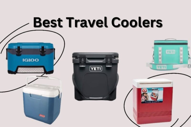 9 Best Travel Coolers & Ice Packs for Trips