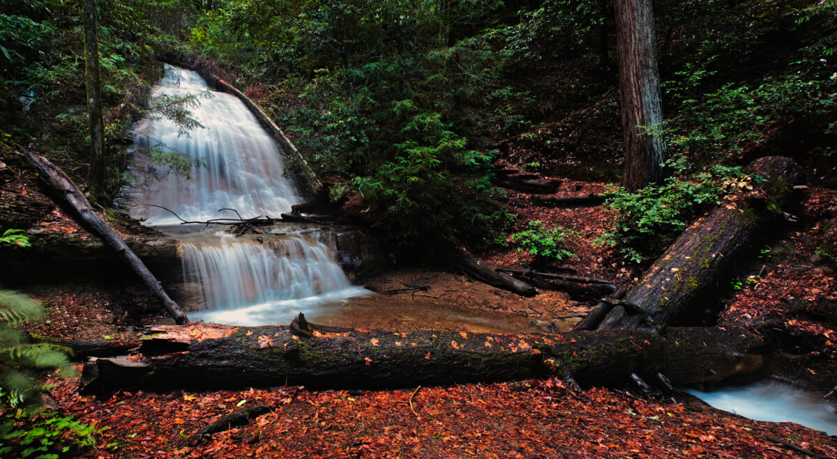 Golden Cascade falls among redwoods in Big Basin Redwoods State Park