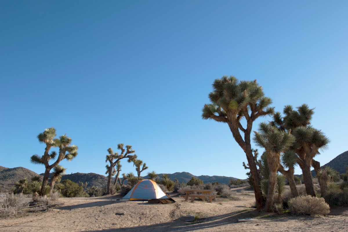 Camping in Black Rock Campground