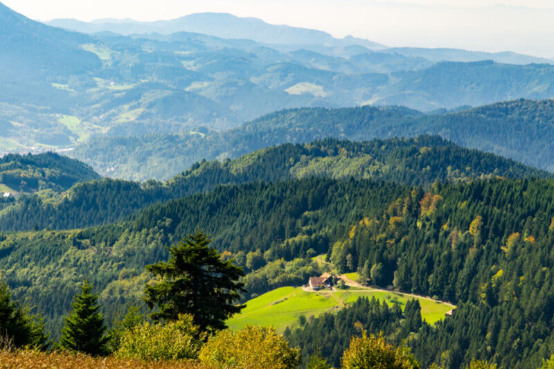 A Traveler’s Guide To The Black Forest In Germany