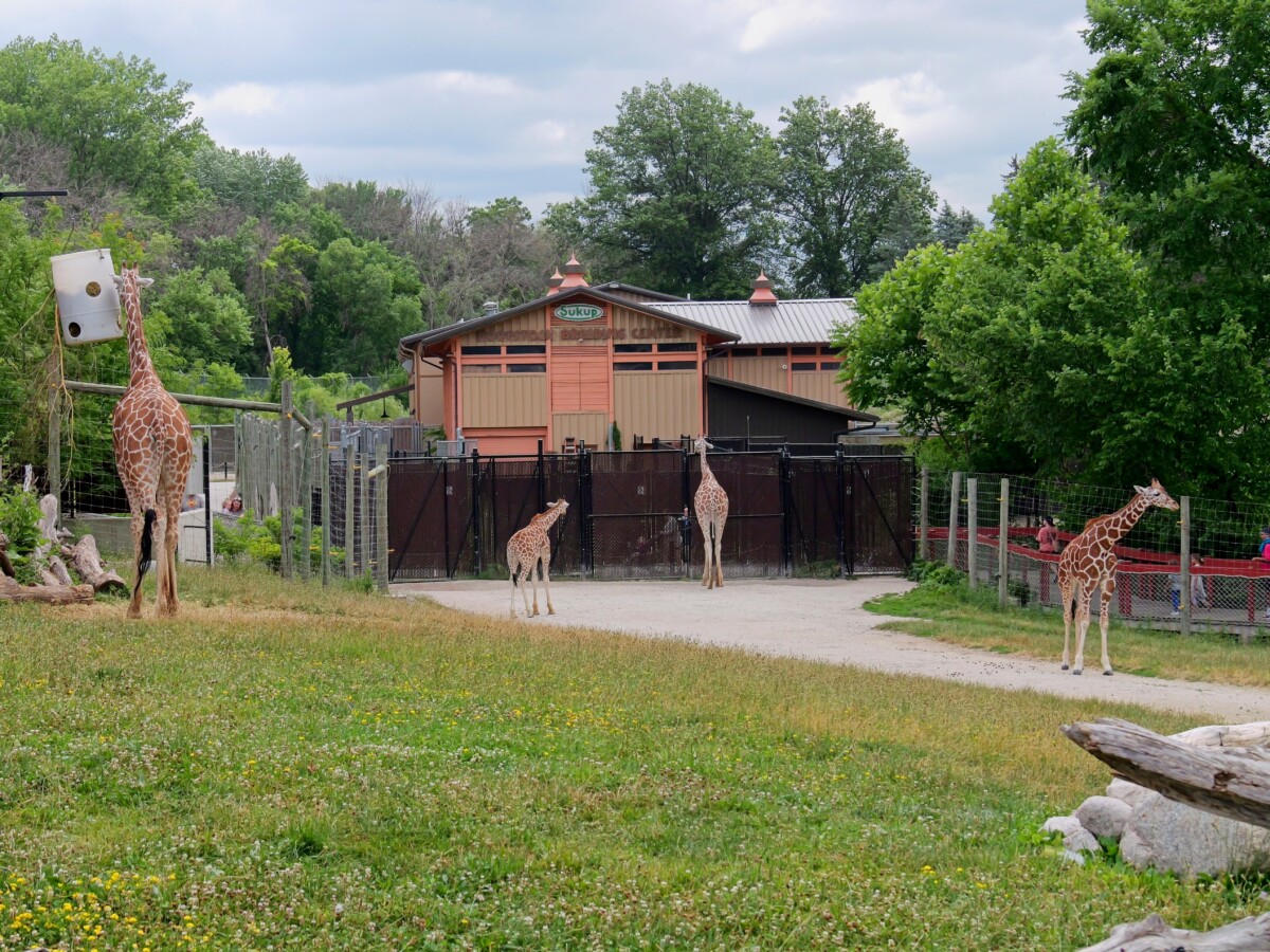 Blank Park Zoo in Des Moines, IA