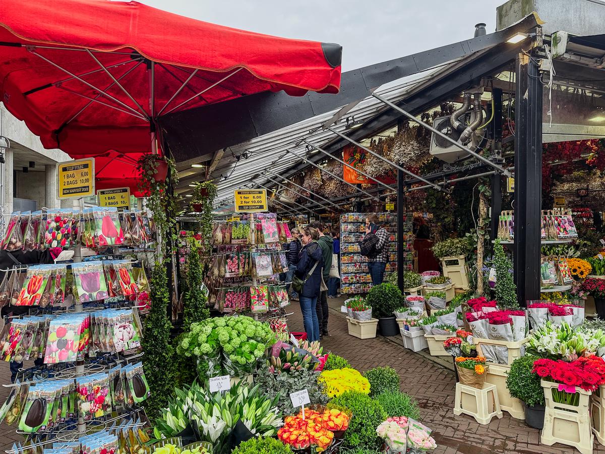 Bustling Bloemenmarkt in Amsterdam, tulips and blooms under red awnings, Dutch floral culture at Singel canal.
