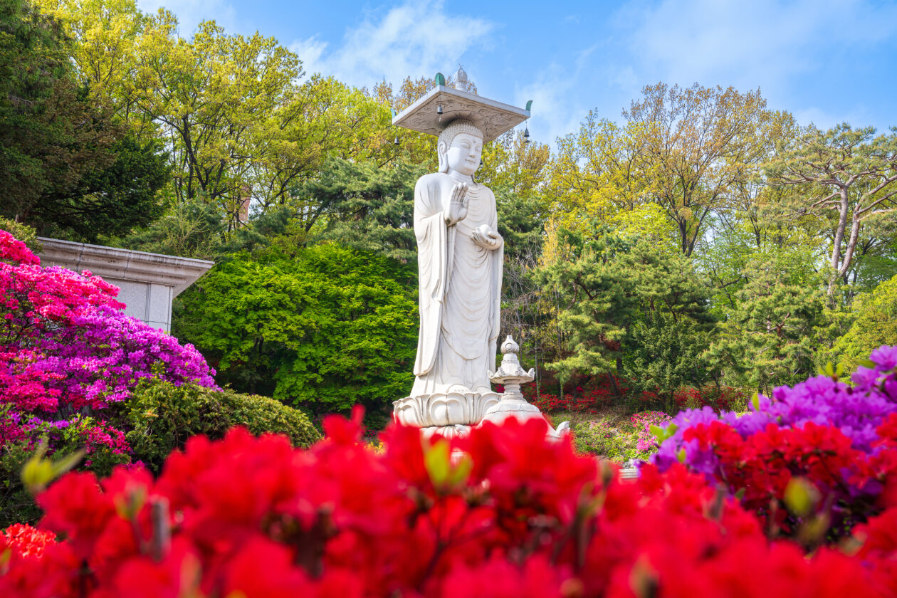 Bongeunsa Temple, Seoul, Buddha statue amid azalea blossoms in Gangnam garden.