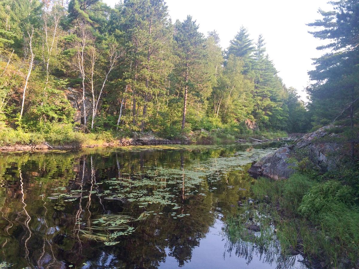 Serene dawn over Boundary Waters Canoe Area Wilderness with forest reflections