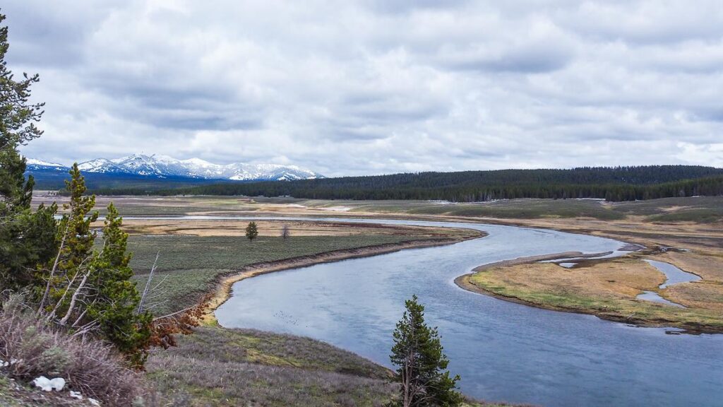 Meandering Yellowstone River with snow-capped mountains under a cloudy sky in Yellowstone National Park.