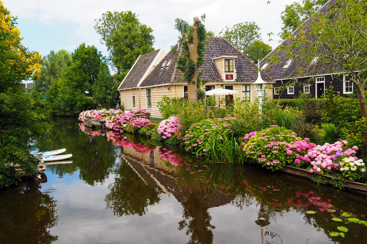 Idyllic Dutch canal scene with hydrangeas and traditional houses in Broek in Waterland