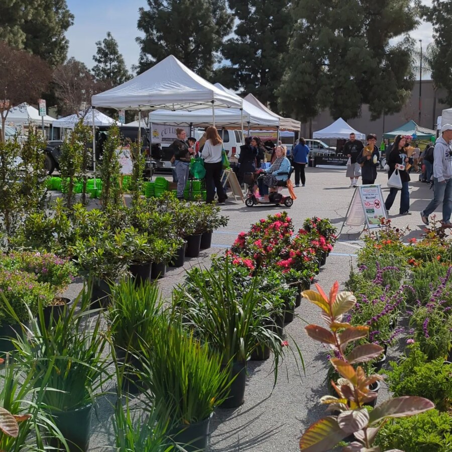 Burbank Farmers Market in Burbank, California