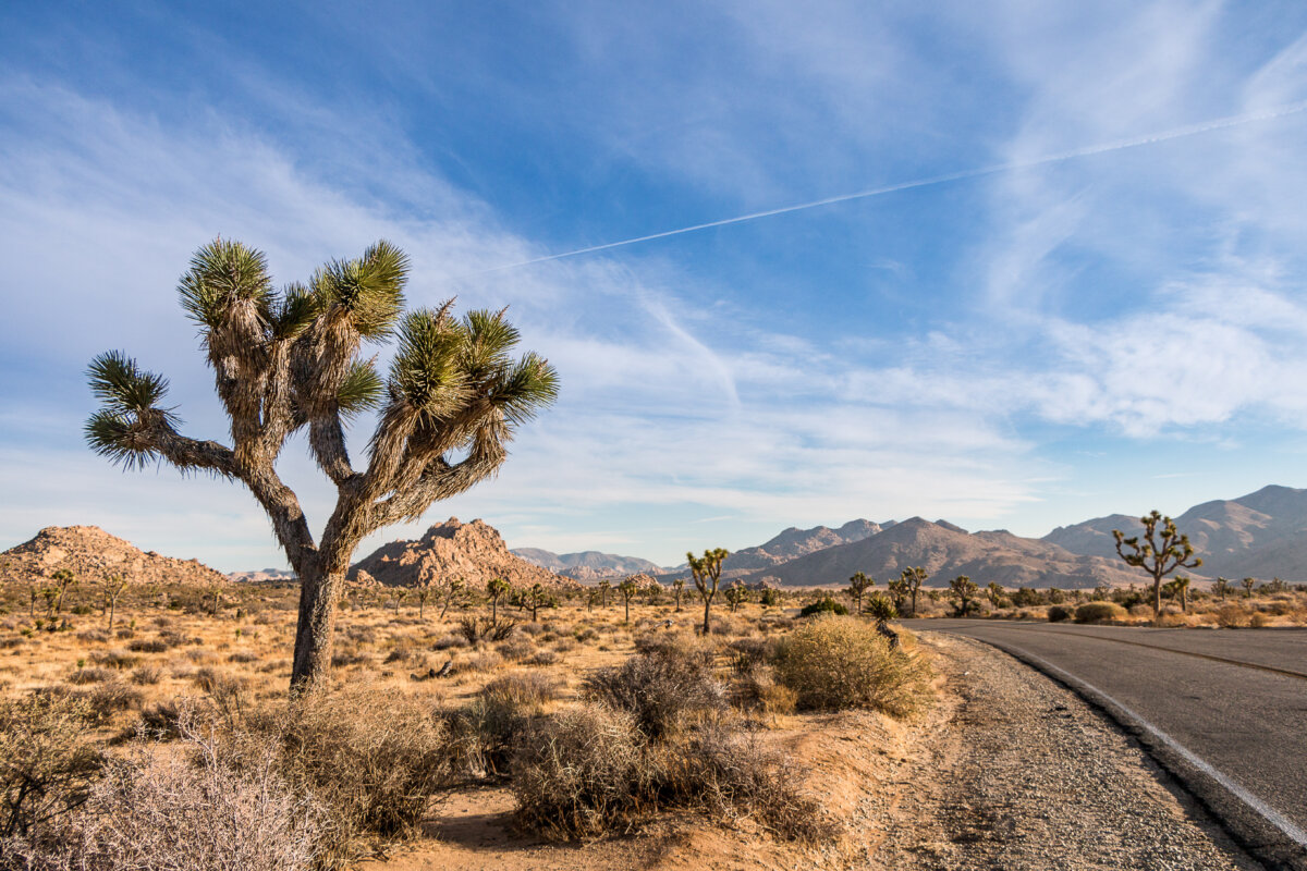 Road in Joshua Tree National Park, California