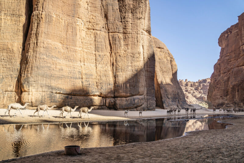 Guelta d’Archei, Chad: Crocodiles, Rock Art & Travel Advice