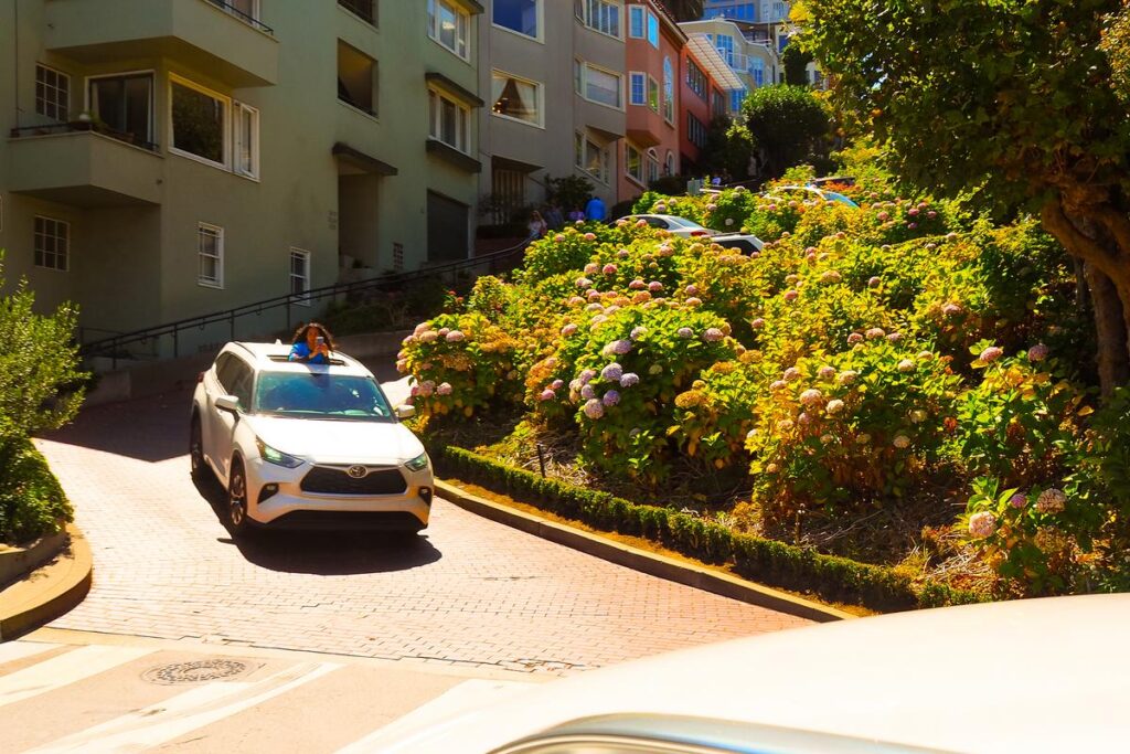 Captivating view of cars navigating Lombard Street, San Francisco, featuring lush hydrangeas and quaint architecture.