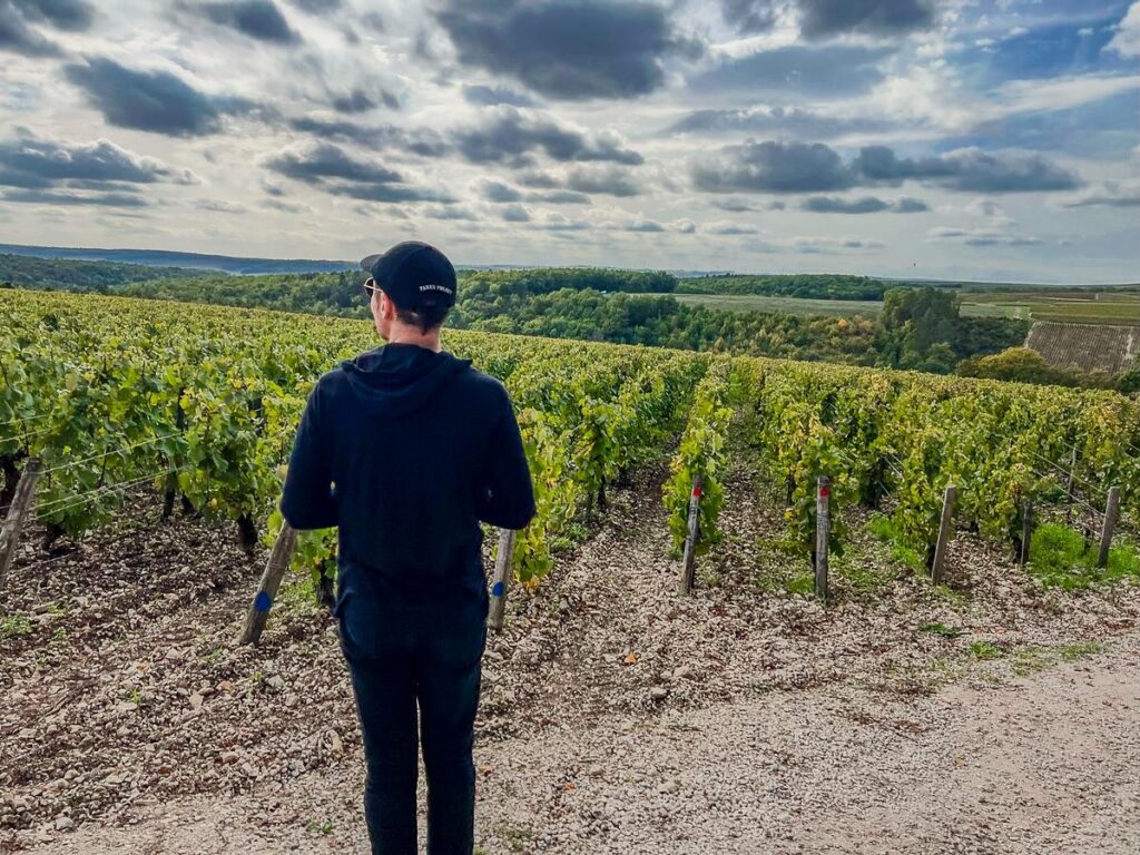 Wine lover enjoying scenic Chablis vineyards with lush grapevines