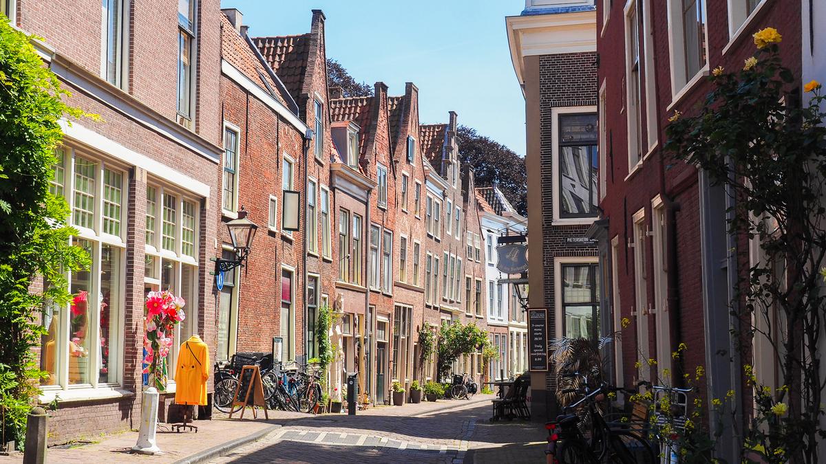Charming Street in Leiden: Dutch architecture, bicycles, and potted plants against a blue sky.