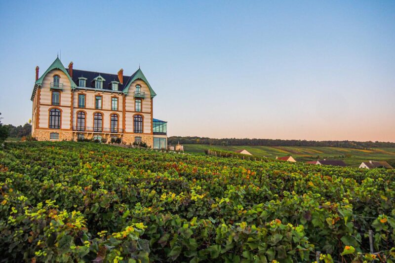 Château de Sacy Review: Luxury Champagne Hotel Experience (2026 Guide)
