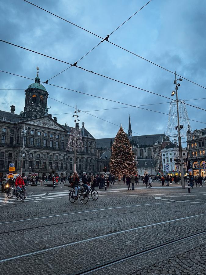Christmas tree on Dam Square in Amsterdam, Netherlands, illuminated with vibrant holiday lights