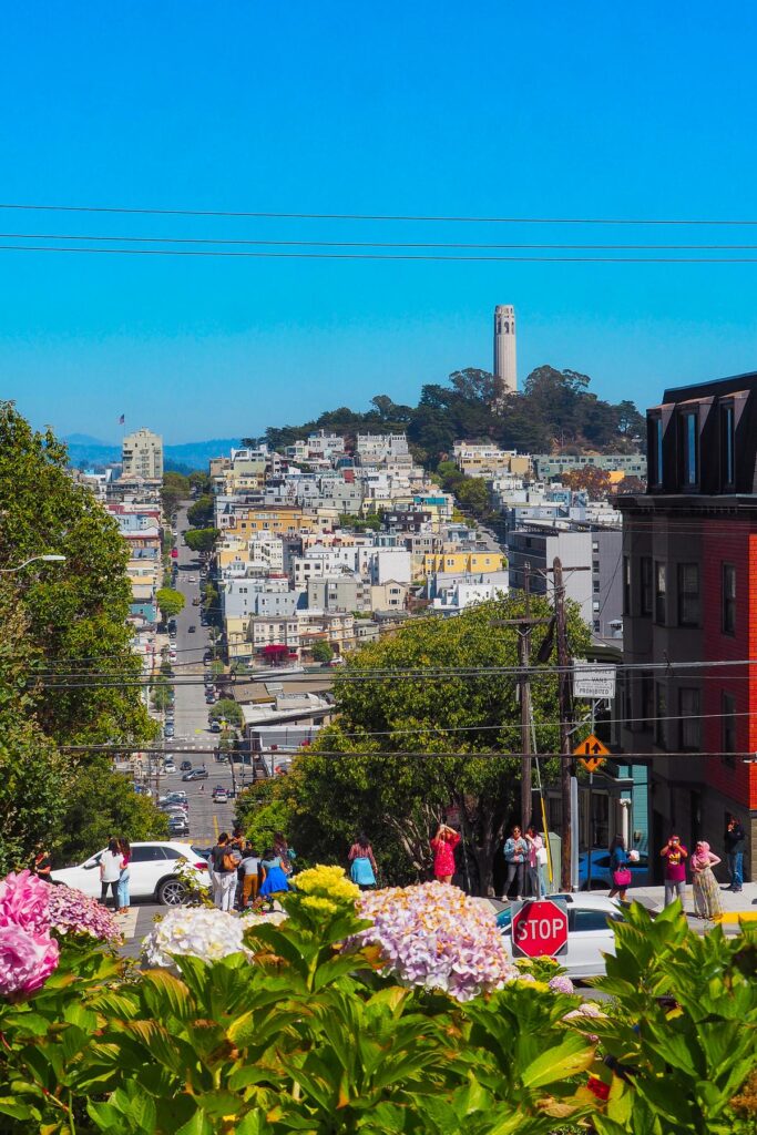Breathtaking view of Coit Tower, San Francisco, against a clear blue sky with urban landscape and lush hydrangea blooms.