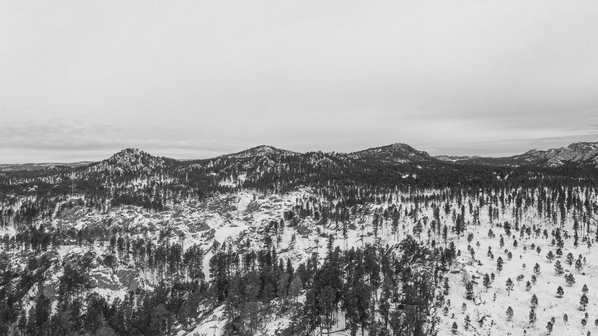 Snow Covered Custer State Park in Winter