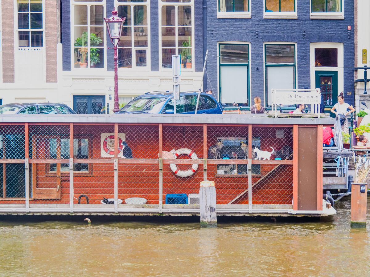 De Poezenboot (The Cat Boat)