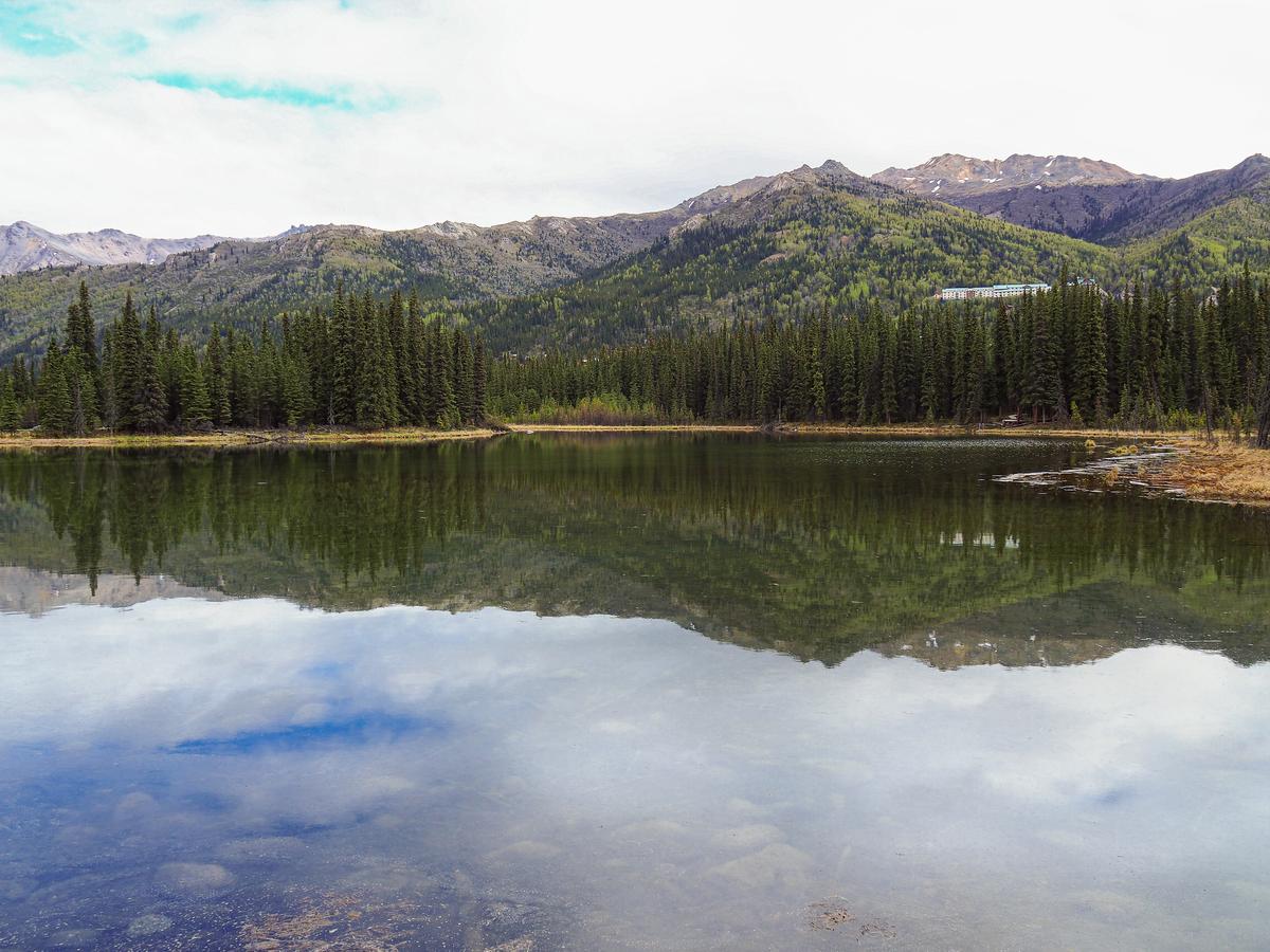 Serene Horseshoe Lake reflection in Denali National Park Alaska
