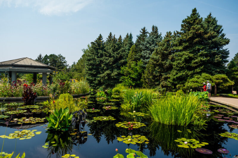 Pavilion and pond at the Denver Botanic Gardens in Denver, Colorado