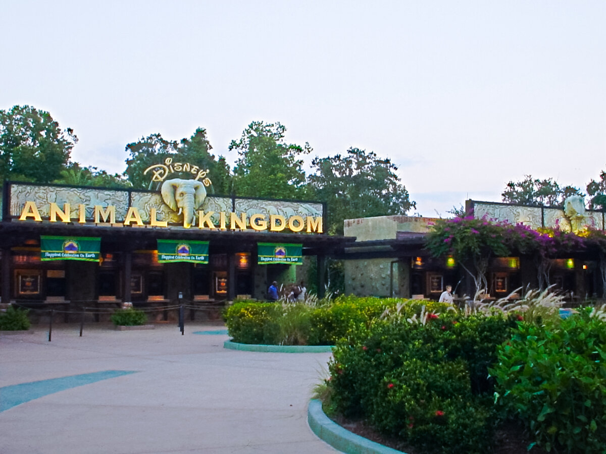 Disney’s Animal Kingdom Entrance