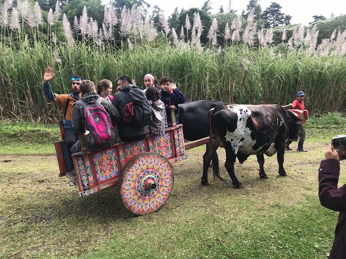 Cart ride at Don Juan Tours