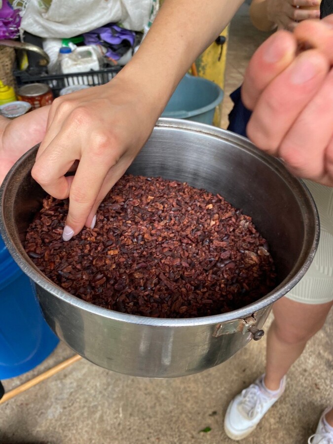 Unprocessed cacao at Don Olivo