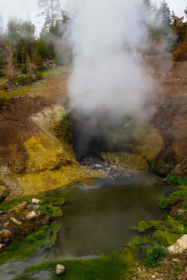 Dragon's Mouth Spring vertical view, steaming thermal feature in Yellowstone near Mud Volcano