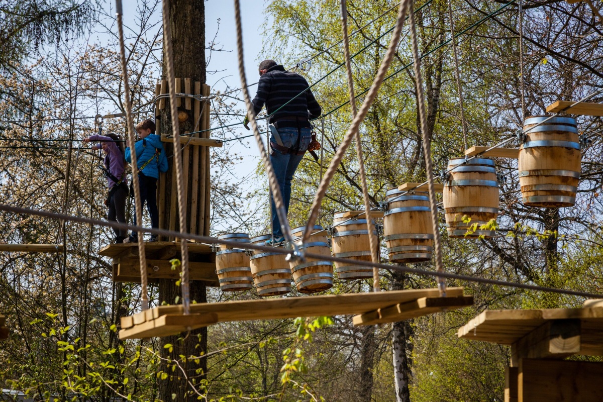 Zip line in Germany ropes course adventure among forest trees.